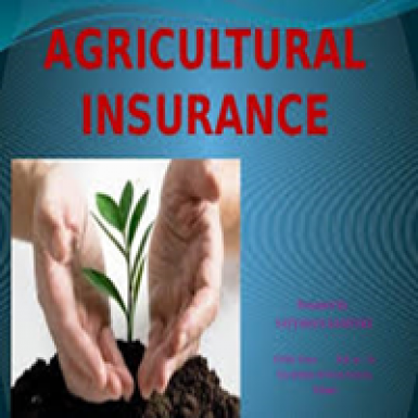 Agriculture Insaurance