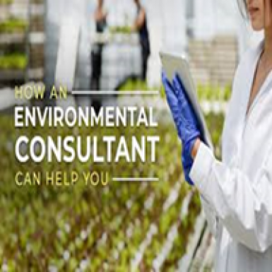 Environment Consultants
