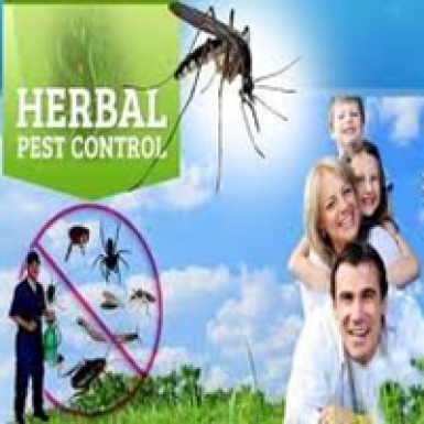 Harbal Pest Control Services