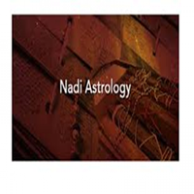 Nadi Astrologers