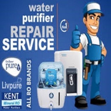 Ro Water Purifier Repair